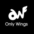 Only Wings Sticker 5-Pack